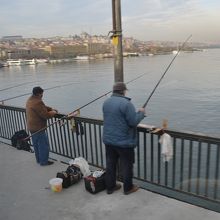 何か釣れるかな？