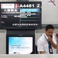思いのほか大型機が運航されている