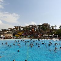 ワイルドワディ ウォーターパーク