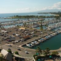 ベランダからの眺め