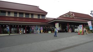 ヒカゲヘゴ原生林があります。