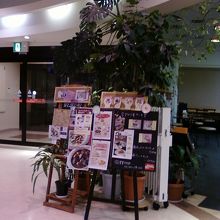 ちょっと暗さが気になる・・・。