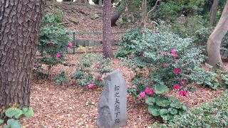 ３００年前の大事件現場