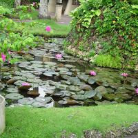 敷地の散歩も楽しい。