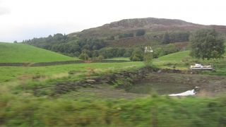 ハチミツ色のかわいい街