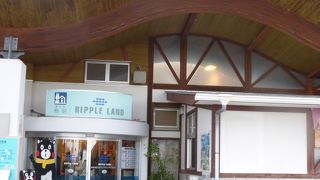 タコ料理がおすすめ