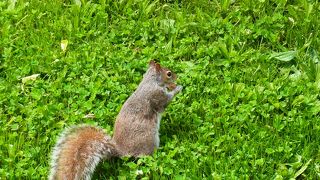 気持ち良いところ