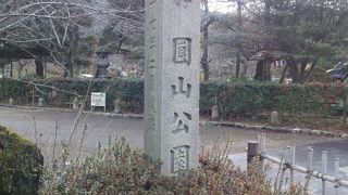 しだれ桜がありました