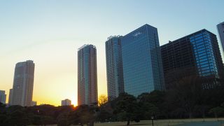 江戸時代からの素晴らしい庭園