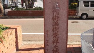 みなさん急いで何処へ・・この前で一息、いいですよ。