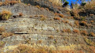 突然現れるので注意！