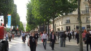 並木は美しいが、世界一とはとてもとても