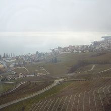 車窓から望むレマン湖とラヴォー地区のブドウ畑