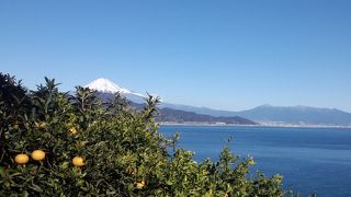 整備されたコースからは素晴しいパノラマ。みかんも安い。