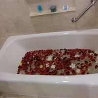 到着時はフラワーバスでした♪