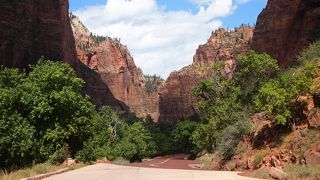 公園内の散策に楽しい