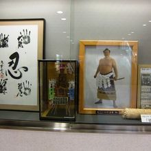 大相撲の展示物