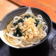 わかめをトッピングしたかけうどん