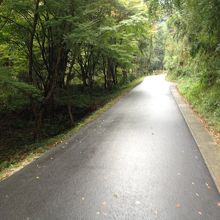 ついに遊歩道へ！マイナスイオン半端ないです。