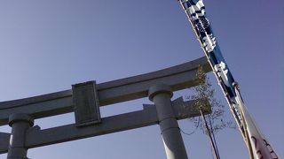 お正月は長蛇の列です。