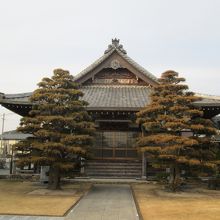 松が立派で掃除の行き届いたお寺