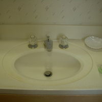 ﾘﾝｽｲﾝｼｬﾝﾌﾟｰ　髪ﾊﾟｻﾊﾟｻになってしまった