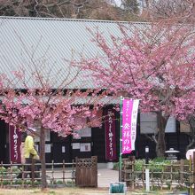 坂がかった町の中央にある「吊るし飾りまつり」の会場