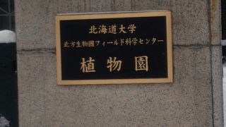 冬季は温室の見学