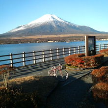 正面にそびえる富士山と湖に写った富士山を拝めました。