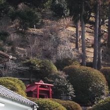 裏の里山と成瀬稲荷大明神(HPで紹介あり)
