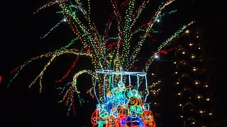 春節？キラキラ電飾の木がありました