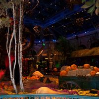 ホテル内の植物園？