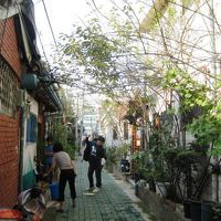 昔ながらの路地が近くにあります