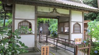 あじさいを見に行きました。