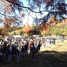 中学生の駅伝大会　奥武蔵駅伝