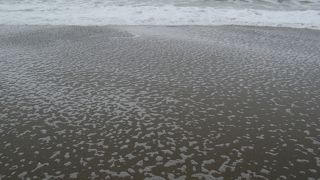 先が霞むほど延々と続く海岸