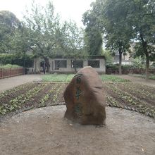 魯迅が小さい頃遊びまわっていたらしい百草園とその石碑