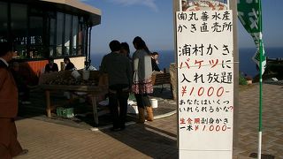 １０００円でバケツ詰め放題