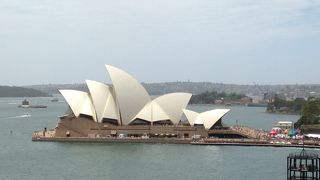 見るとオーストラリアに来たーと感じます