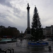 クリスマスツリー