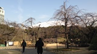 回遊式庭園の傑作