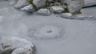 灰色の熱泥がボコボコ出ています