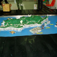 可愛らしいターンテーブル