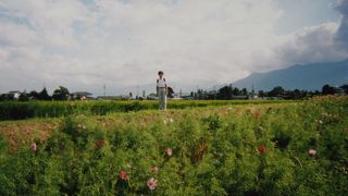 美術館巡りも楽しい