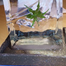 各テーブルに氷の塊をのせる、粋な演出