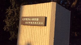 さくらの時期に