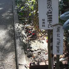 このような立札が・・