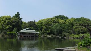 東京のオアシス