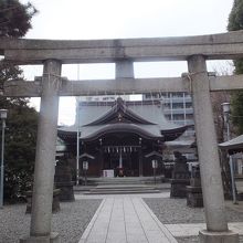 鳥居越しに社殿を望みます