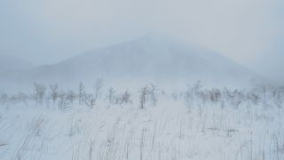 地吹雪の戦場ヶ原、寒いけれど綺麗でした